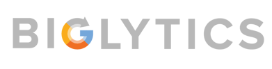 biglytics-company-logo